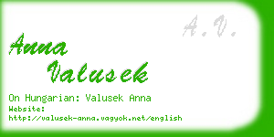 anna valusek business card